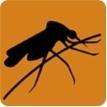 Neglected Tropical Diseases